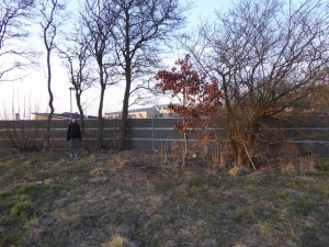 Vores lille skov